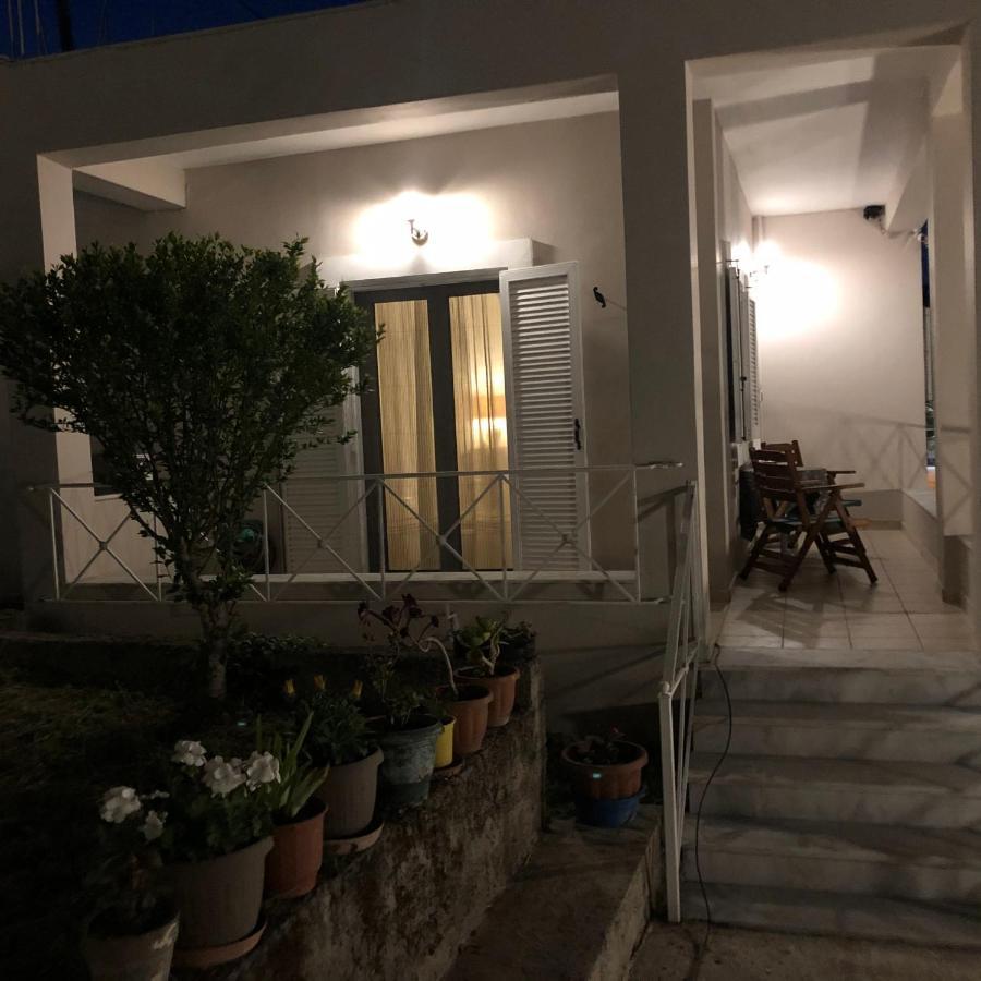 达西亚Casa Sofia别墅 外观 照片